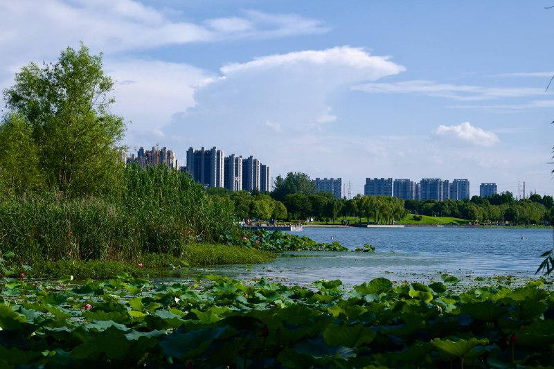 莲花湖公园